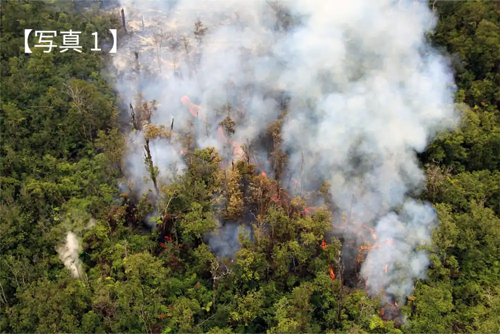 【写真1】かつて到達したことのない林にまで溶岩が達する