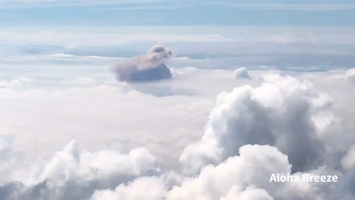 15km手前から見えてきたハレマウマウ火口から上がる煙