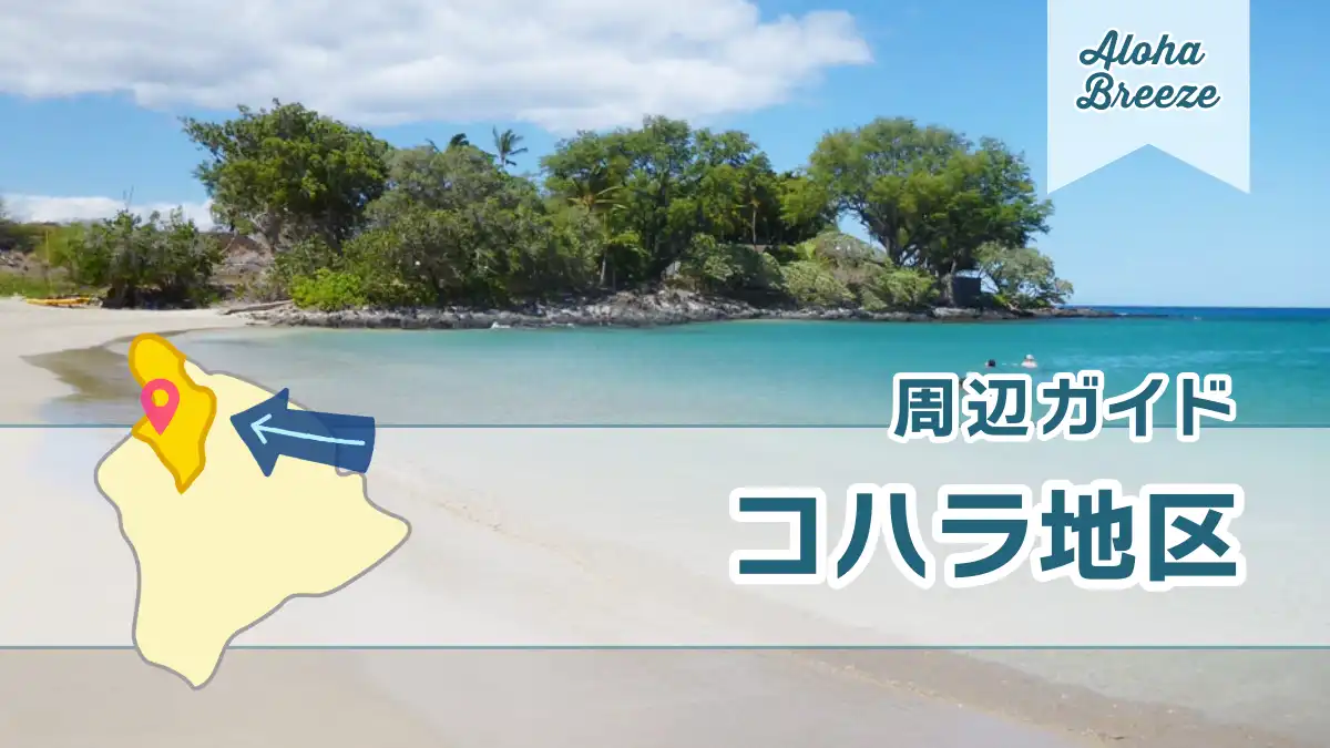 コハラ地区の周辺ガイド