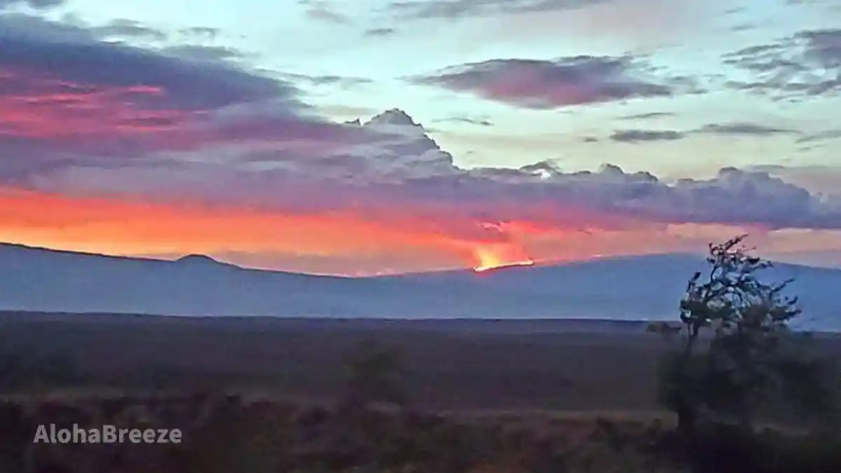 ワイメアから見るマウナロアの噴火